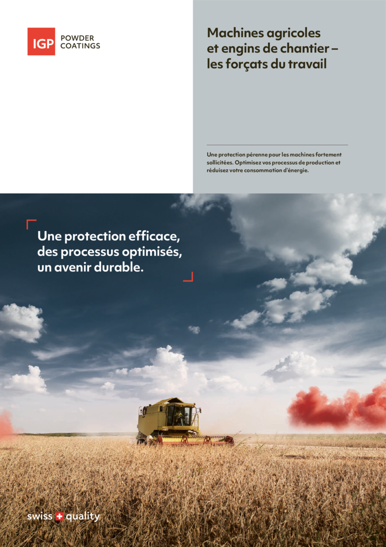 Brochure IGP ACE