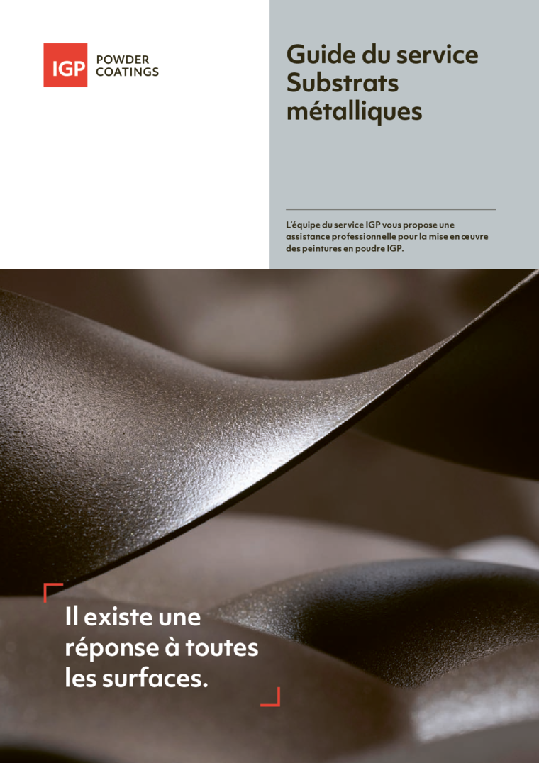 Brochure IGP Guide du service